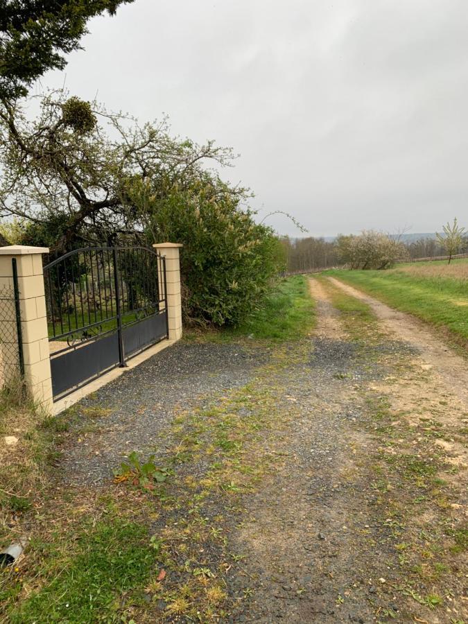 Loge De La Besnardiere Villa Mareuil-sur-Cher Exterior photo