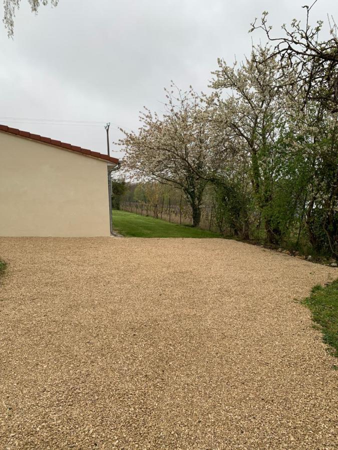 Loge De La Besnardiere Villa Mareuil-sur-Cher Exterior photo